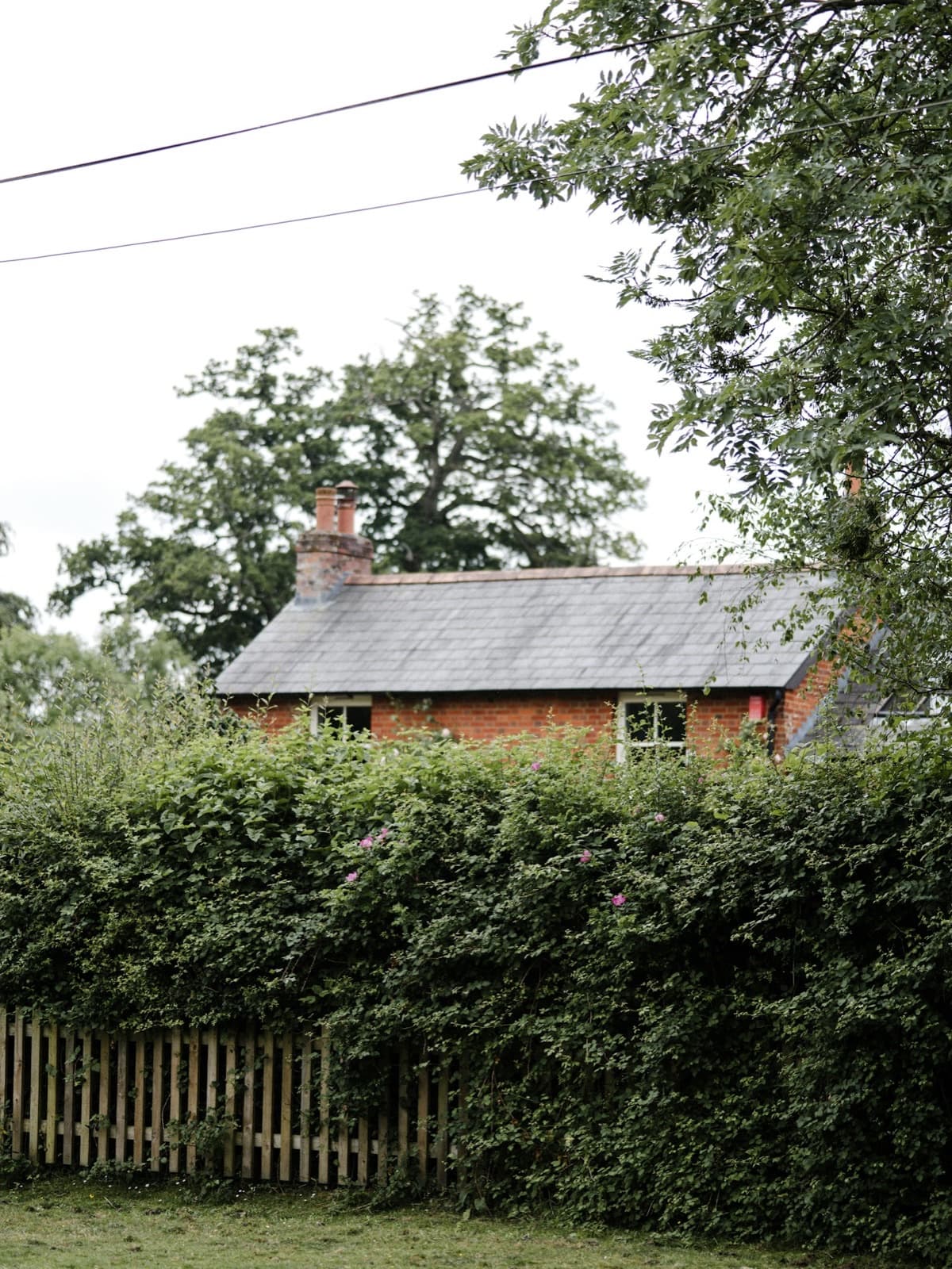 Timber fencing, country garden